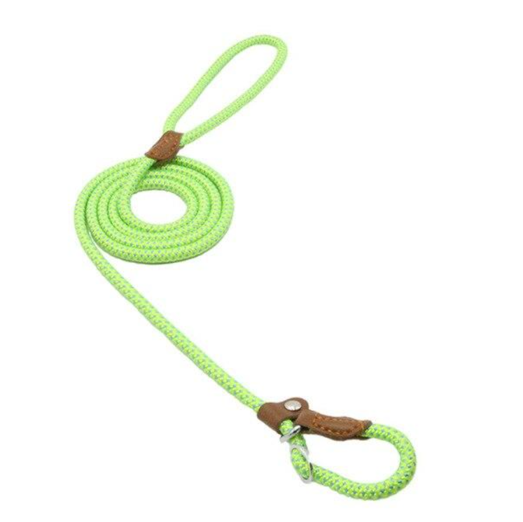 Nylon Pup Lead