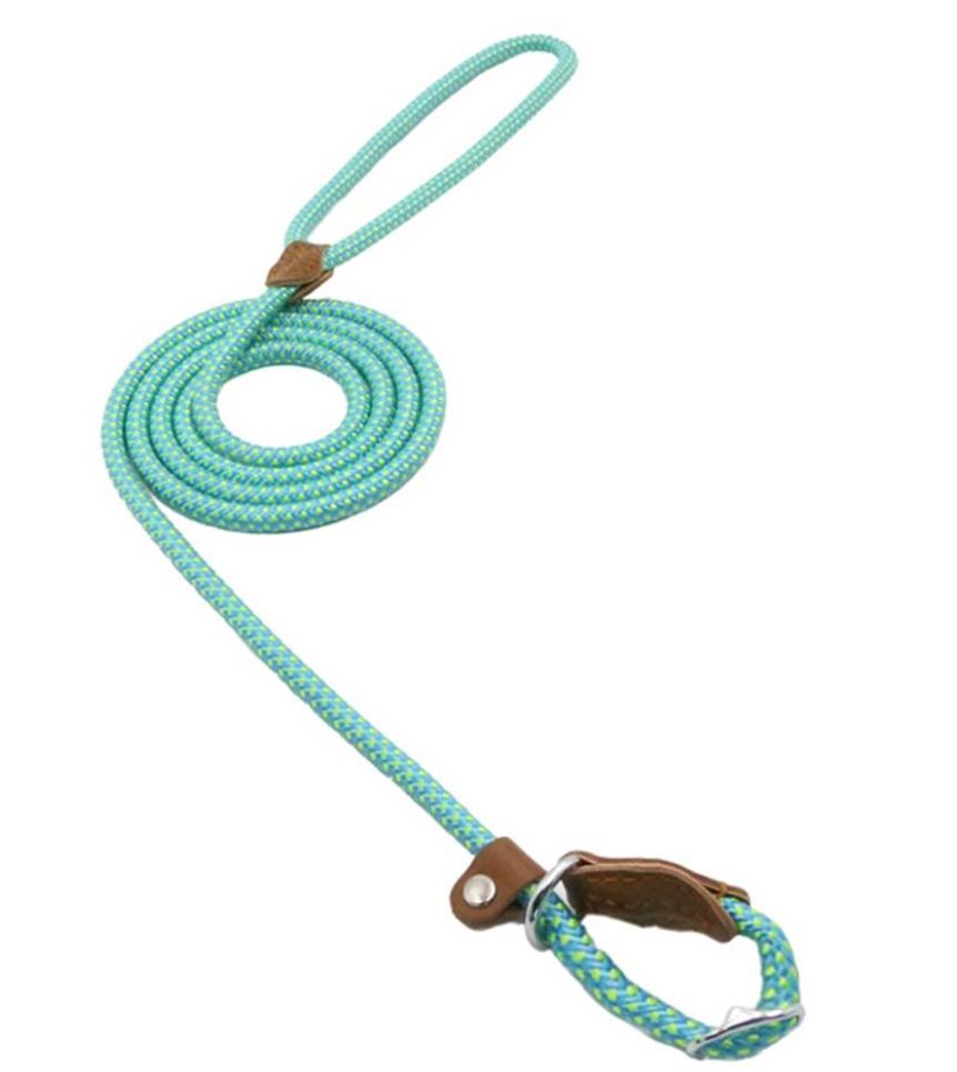 Nylon Pup Lead