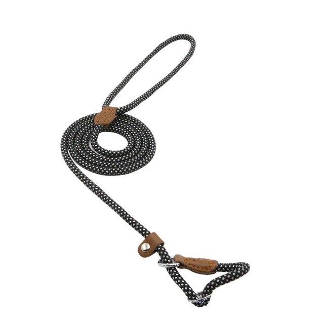 Nylon Pup Lead