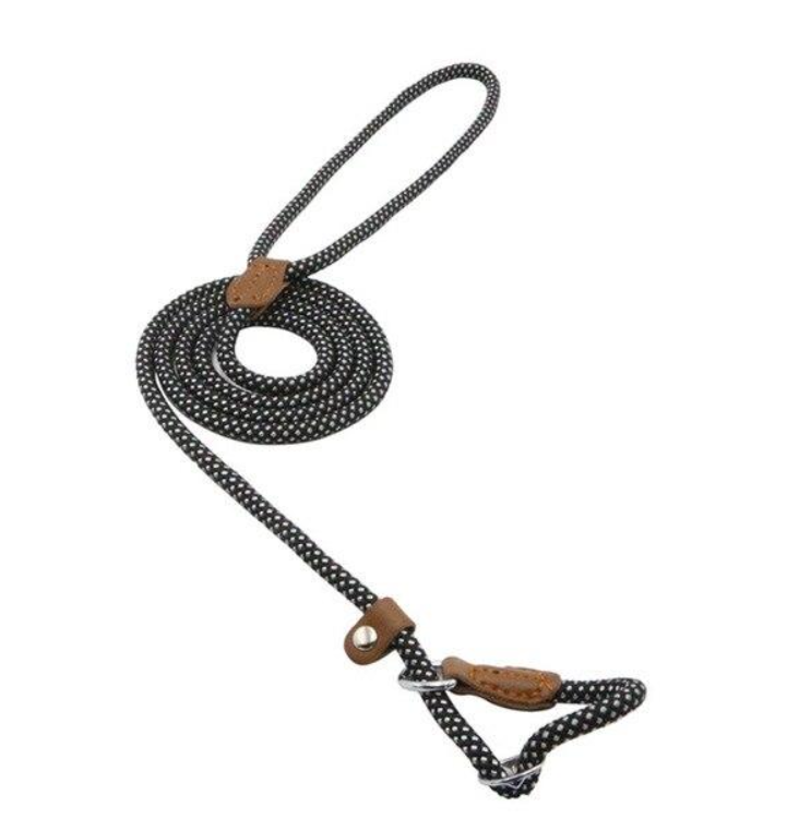 Nylon Pup Lead