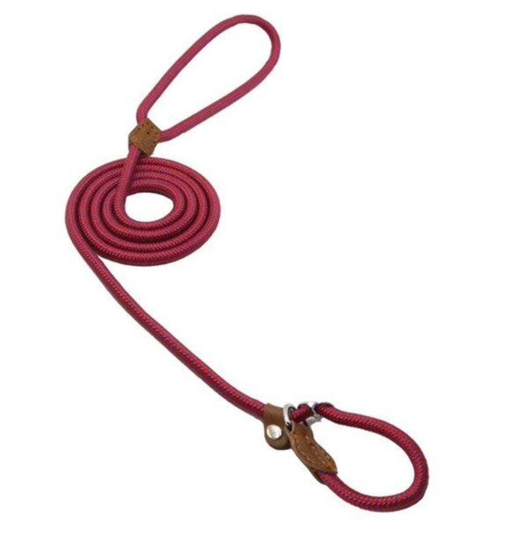 Nylon Pup Lead