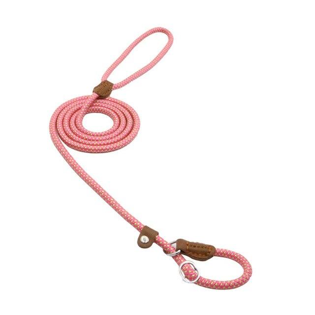 Nylon Pup Lead