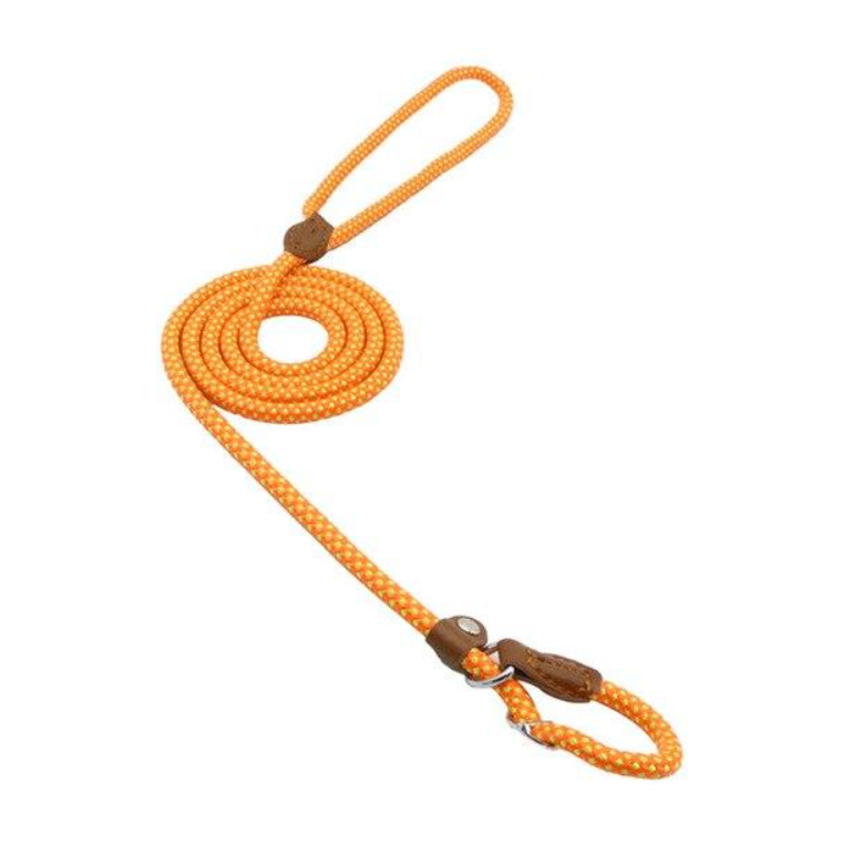 Nylon Pup Lead