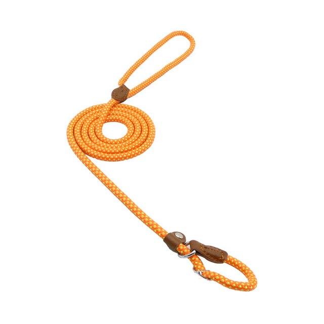 Nylon Pup Lead