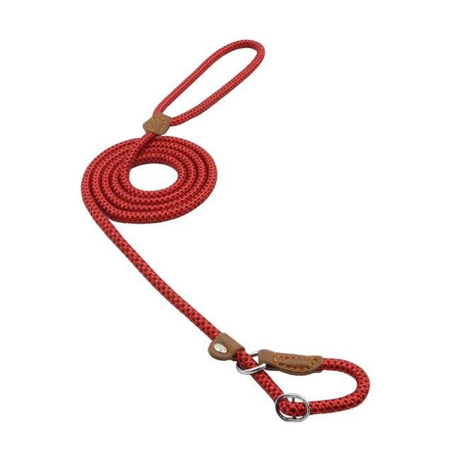 Nylon Pup Lead