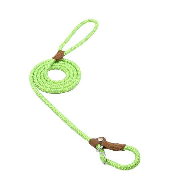 Nylon Pup Lead