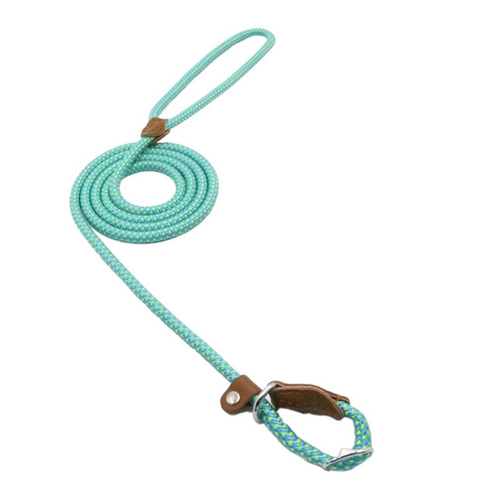 Nylon Pup Lead