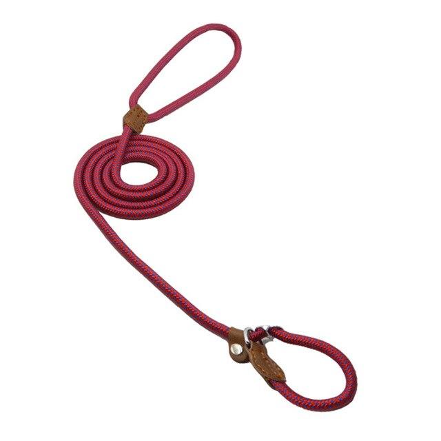 Nylon Pup Lead